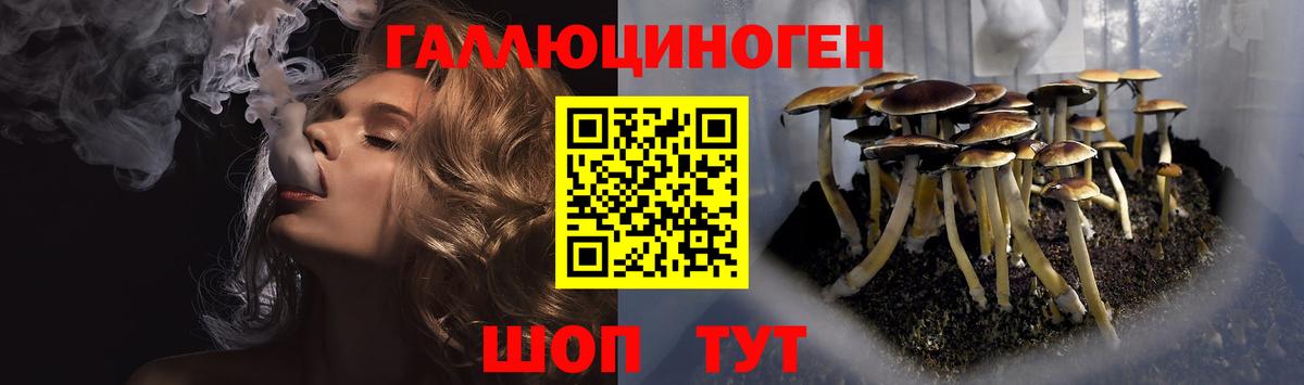 закладка  Псилоцибиновые грибы мухоморы  Вход с VPN  Жуковский 